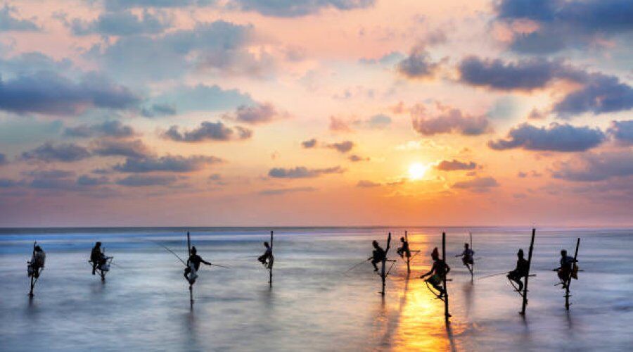 Stilt Fishing - Activity in Sri Lanka
