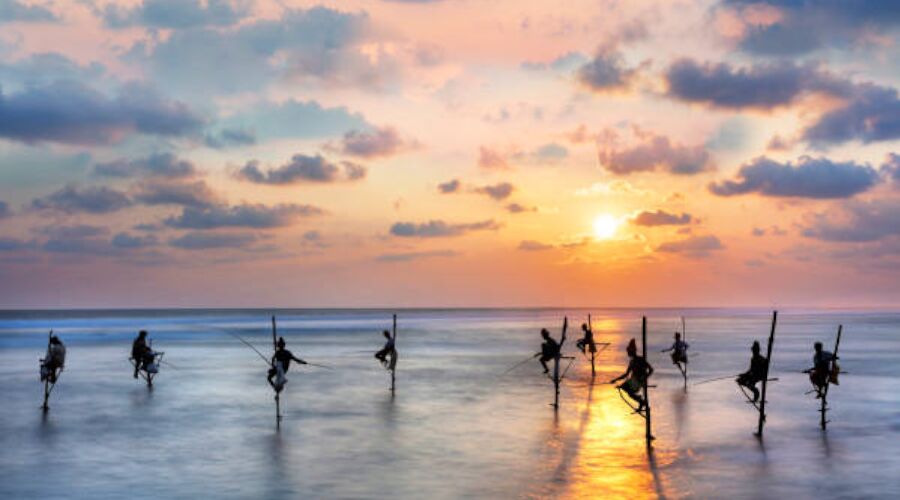 Experience Stilt Fishing in Sri Lanka - Go Lanka Tour Gallery