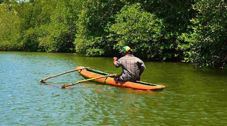 Experience Madu River in Sri Lanka - Go Lanka Tour Gallery