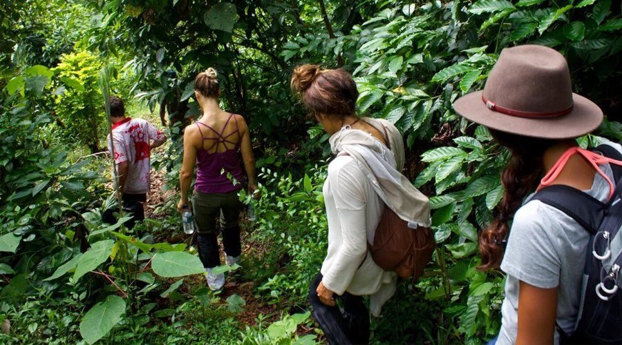 Experience Hiking in Sri Lanka - Go Lanka Tour Gallery