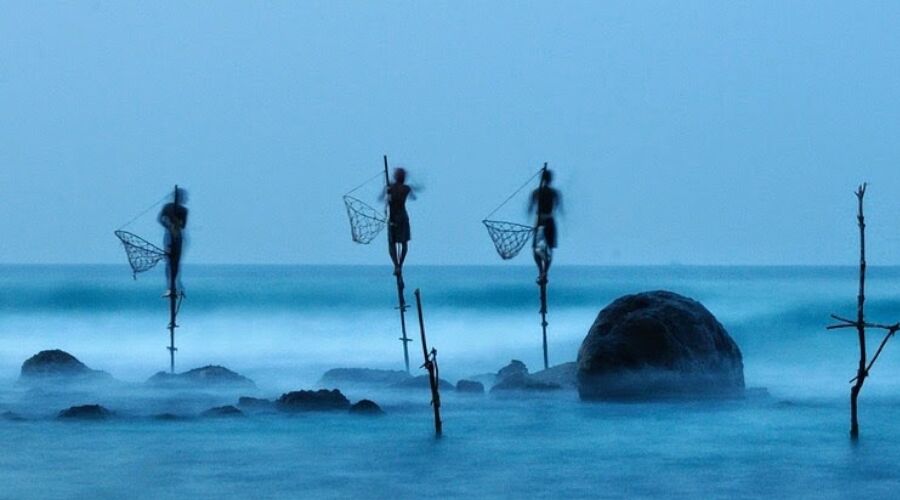Experience Stilt Fishing in Sri Lanka - Go Lanka Tour Gallery