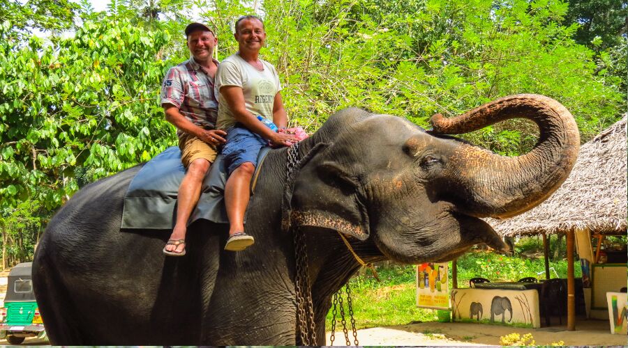 Experience Elephant Back Ride in Sri Lanka - Go Lanka Tour Gallery