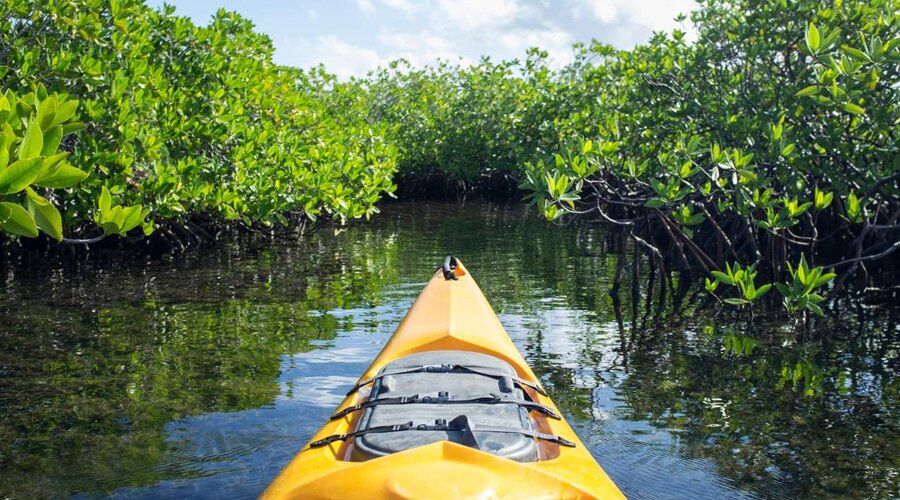 Experience Kayaking in Sri Lanka - Go Lanka Tour Gallery