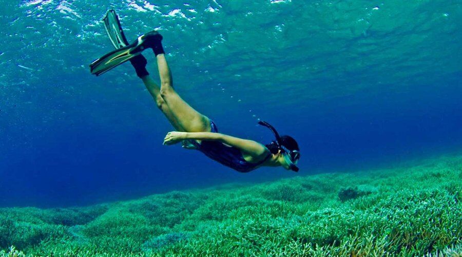 Experience Diving and Snokerelling in Sri Lanka - Go Lanka Tour Gallery