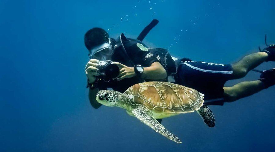 Experience Diving and Snokerelling in Sri Lanka - Go Lanka Tour Gallery