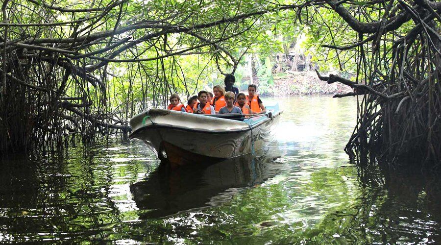 Experience Madu River in Sri Lanka - Go Lanka Tour Gallery