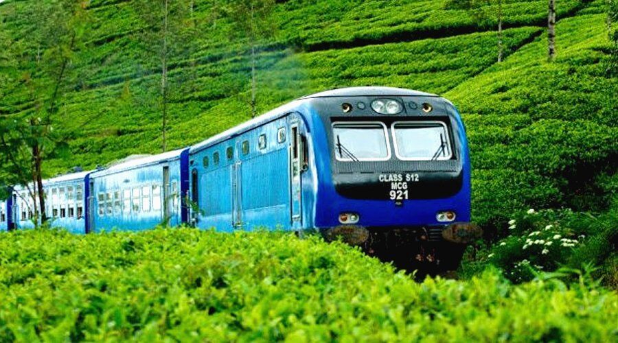 Experience Train Ride in Sri Lanka - Go Lanka Tour Gallery