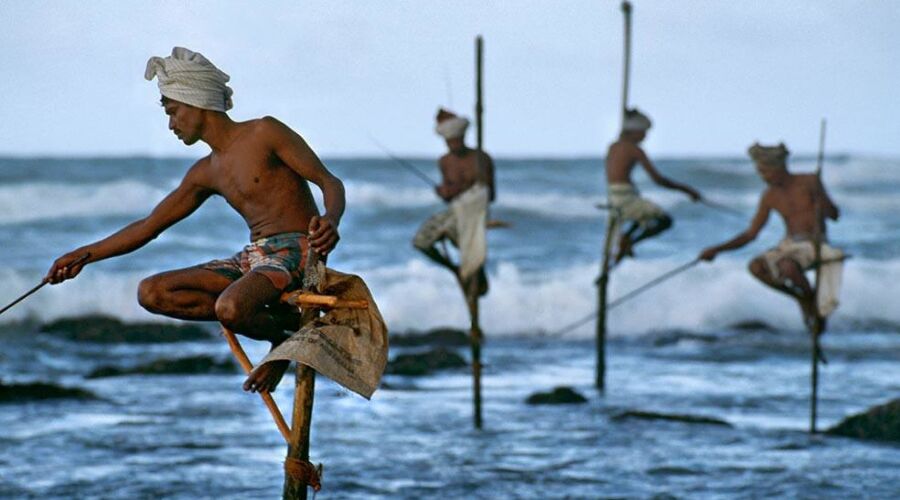 Experience Stilt Fishing in Sri Lanka - Go Lanka Tour Gallery