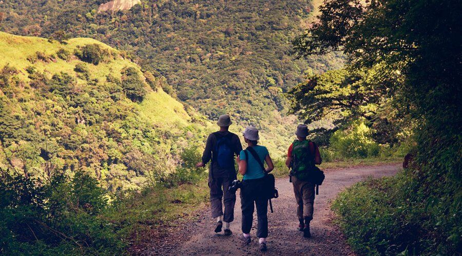 Experience Hiking in Sri Lanka - Go Lanka Tour Gallery