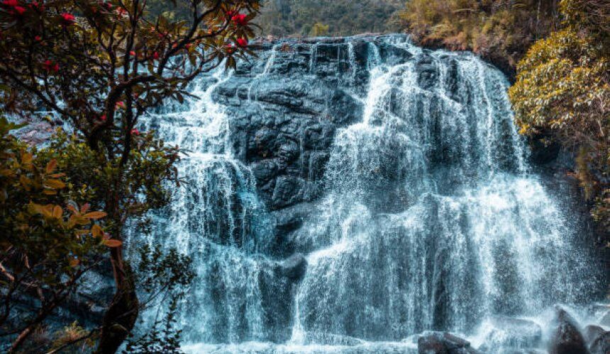 Visit Horton Plains  Sri Lanka - Go Lanka Tour Gallery Image