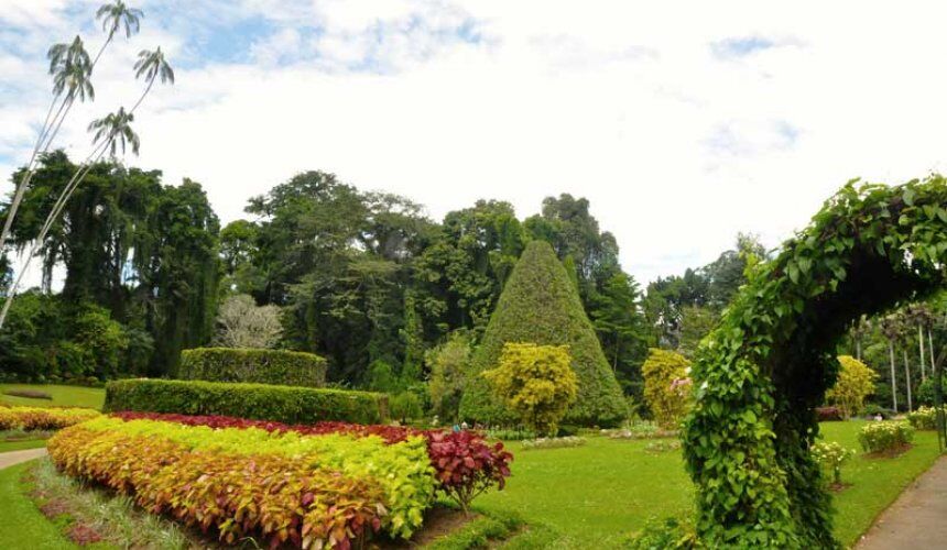 Visit Royal Botanical Garden Sri Lanka - Go Lanka Tour Gallery Image
