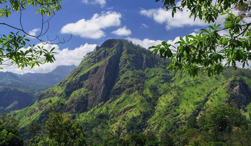 Visit Ella Rock Sri Lanka - Go Lanka Tour Gallery Image