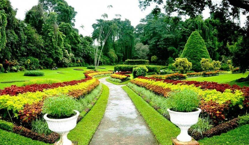 Visit Royal Botanical Garden Sri Lanka - Go Lanka Tour Gallery Image