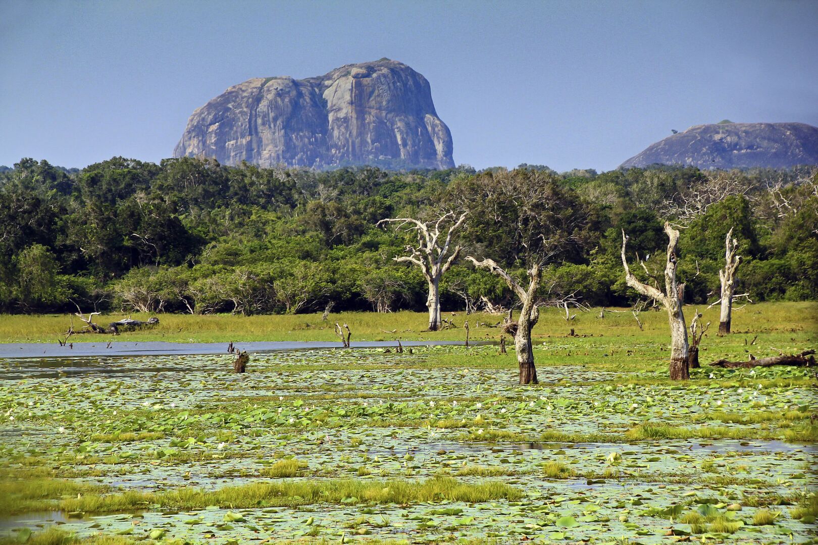 Visit Yala National Park Sri Lanka - Go Lanka Tour Gallery Image
