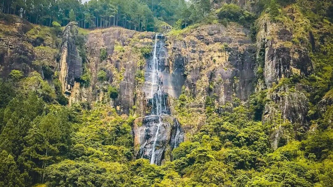 Visit Bambarakanda Falls Sri Lanka - Go Lanka Tour Gallery Image