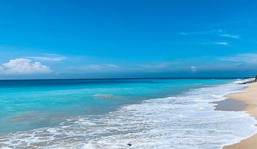 Visit Mirissa Beach Sri Lanka - Go Lanka Tour Gallery Image