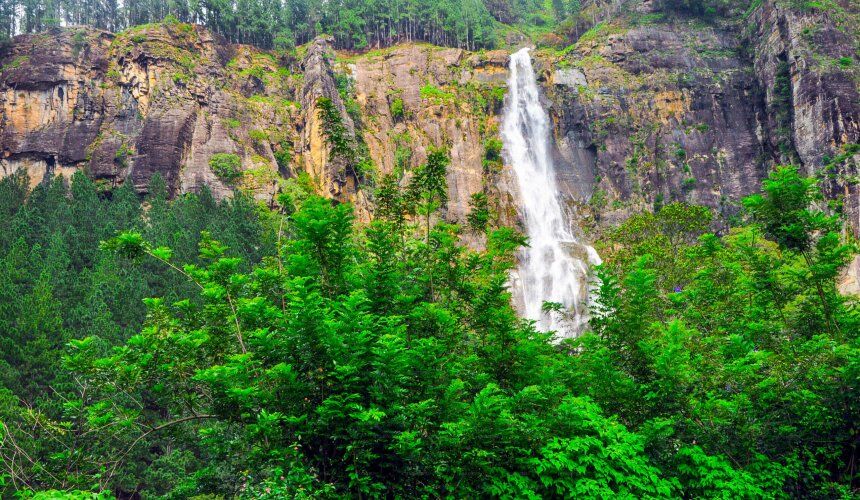 Visit Bambarakanda Falls Sri Lanka - Go Lanka Tour Gallery Image