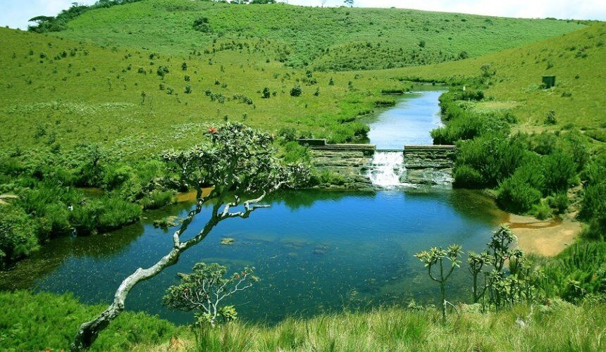 Visit Horton Plains  Sri Lanka - Go Lanka Tour Gallery Image