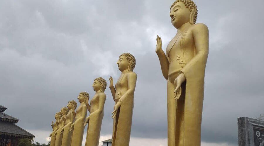 Culture - Photo 4