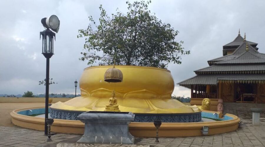 Culture - Photo 11