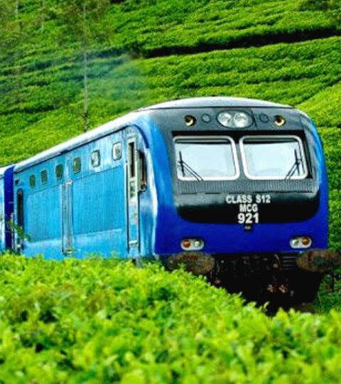 Sri Lanka Couple tour Package - Sri Lanka Tour Package