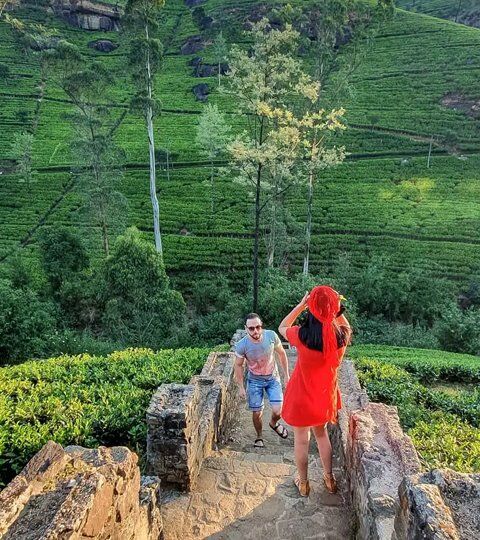 Sri Lanka Best Holiday Tour Package - Sri Lanka Tour Package