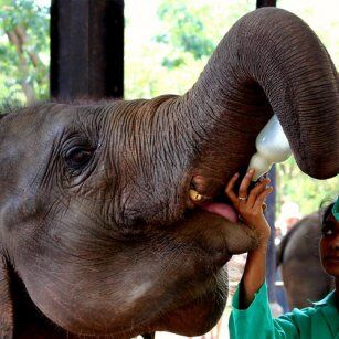 02 Day Experience in Sri Lanka - Go Lanka Tour