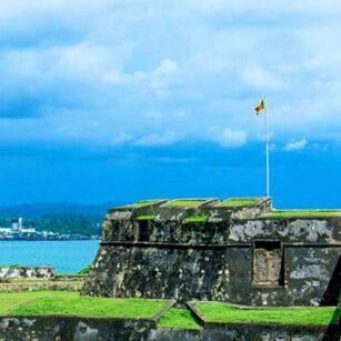 08 Day Experience in Sri Lanka - Go Lanka Tour