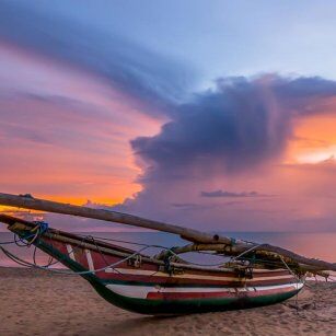 01 Day Experience in Sri Lanka - Go Lanka Tour