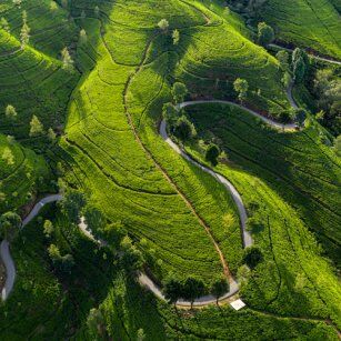 06 Day Experience in Sri Lanka - Go Lanka Tour