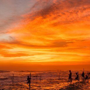 12 Day Experience in Sri Lanka - Go Lanka Tour