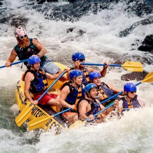 06 Day Experience in Sri Lanka - Go Lanka Tour