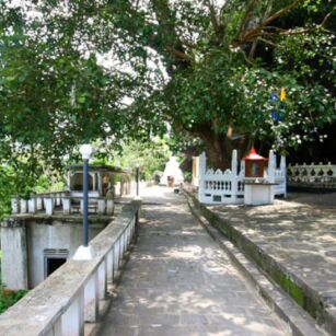 05 Day Experience in Sri Lanka - Go Lanka Tour