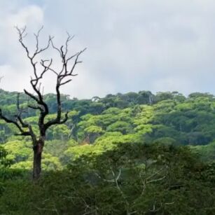 07 Day Experience in Sri Lanka - Go Lanka Tour
