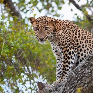 06 Day Experience in Sri Lanka - Go Lanka Tour