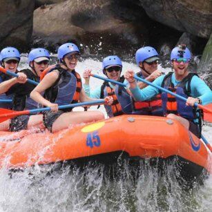 5 Day Experience in Sri Lanka - Go Lanka Tour