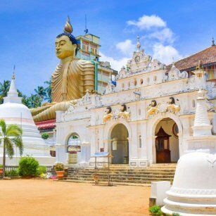 Southeastern Day Tour Experience in Sri Lanka - Go Lanka Tour