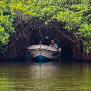 09 Day Experience in Sri Lanka - Go Lanka Tour