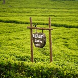 03 Day Experience in Sri Lanka - Go Lanka Tour
