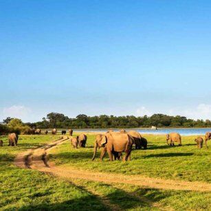 2 Day Experience in Sri Lanka - Go Lanka Tour