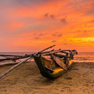 07 Day Experience in Sri Lanka - Go Lanka Tour