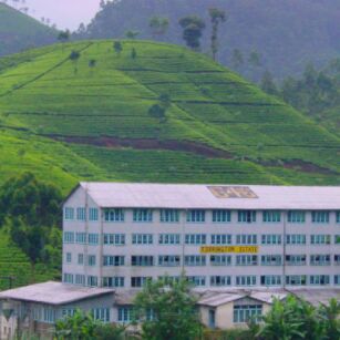 10 Day Experience in Sri Lanka - Go Lanka Tour