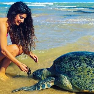 09 Day Experience in Sri Lanka - Go Lanka Tour