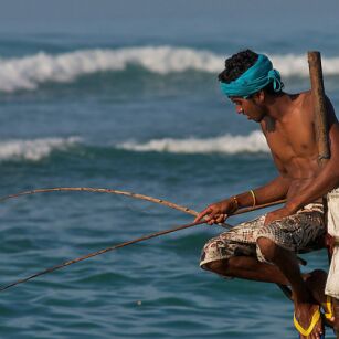 03 Day Experience in Sri Lanka - Go Lanka Tour