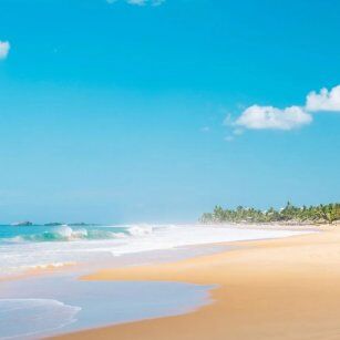12 Day Experience in Sri Lanka - Go Lanka Tour