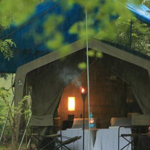 07 Day Experience in Sri Lanka - Go Lanka Tour