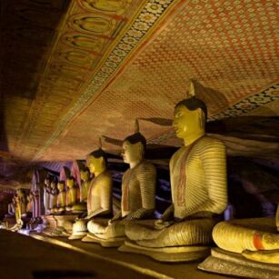 02 Day Experience in Sri Lanka - Go Lanka Tour