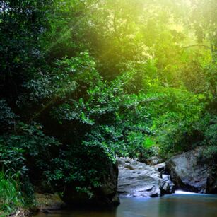 07 Day Experience in Sri Lanka - Go Lanka Tour