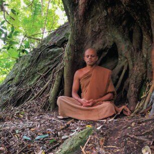 04 Day Experience in Sri Lanka - Go Lanka Tour