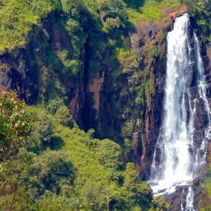 5 Day Experience in Sri Lanka - Go Lanka Tour